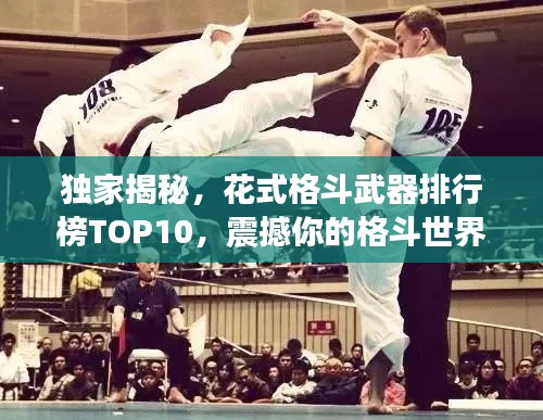 独家揭秘,花式格斗武器排行榜TOP10,震撼你的格斗世界!