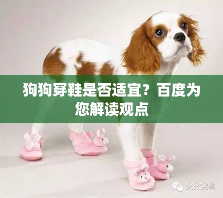 狗狗穿鞋是否适宜?百度为您解读观点