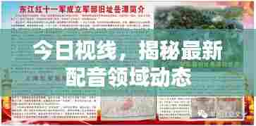 今日视线,揭秘最新配音领域动态
