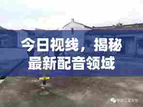 今日视线,揭秘最新配音领域动态