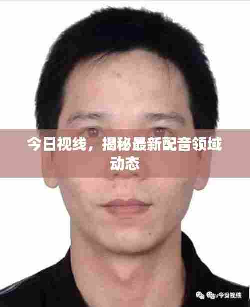 今日视线,揭秘最新配音领域动态