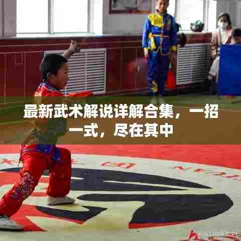 最新武术解说详解合集,一招一式,尽在其中