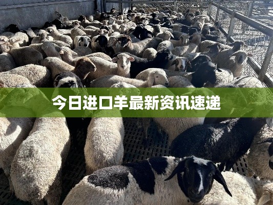 熊经鸟伸 第3页