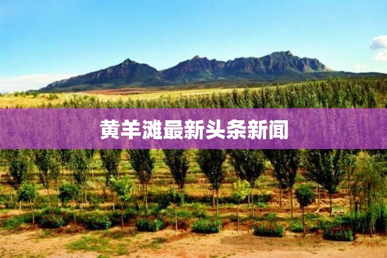 黄羊滩最新头条新闻