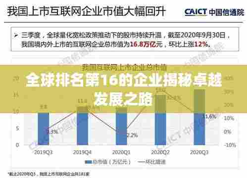 全球排名第16的企业揭秘卓越发展之路