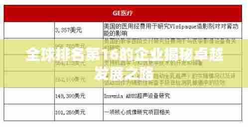 全球排名第16的企业揭秘卓越发展之路