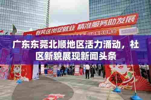 广东东莞北顺地区活力涌动,社区新貌展现新闻头条