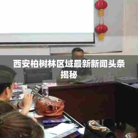 西安柏树林区域最新新闻头条揭秘