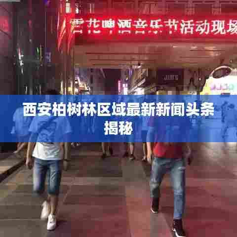 西安柏树林区域最新新闻头条揭秘