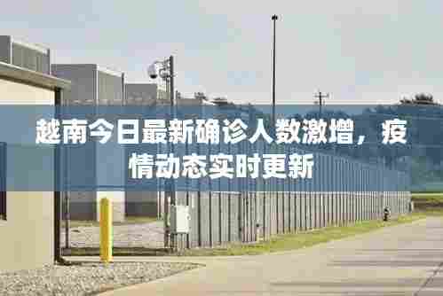 越南今日最新确诊人数激增,疫情动态实时更新