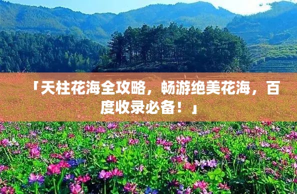 百鸟争鸣 第3页