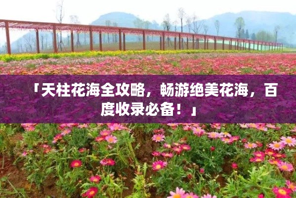 「天柱花海全攻略,畅游绝美花海,百度收录必备!」