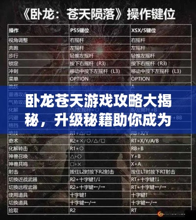 卧龙苍天游戏攻略大揭秘,升级秘籍助你成为顶尖强者!