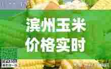 滨州玉米价格实时更新，最新市场动态，你不可错过！