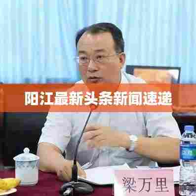 阳江最新头条新闻速递