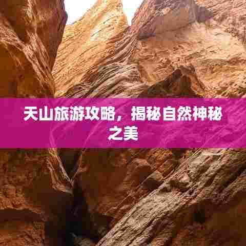 天山旅游攻略,揭秘自然神秘之美