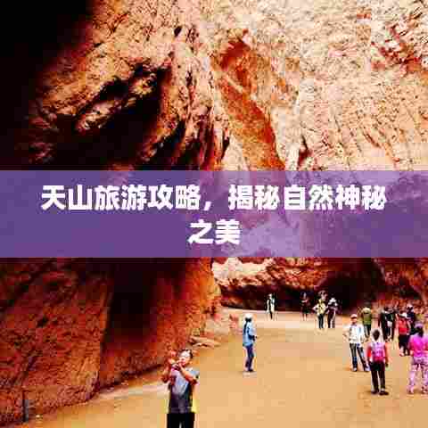 天山旅游攻略,揭秘自然神秘之美
