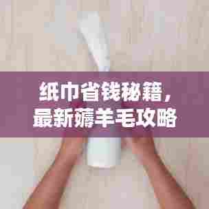 纸巾省钱秘籍,最新薅羊毛攻略,达人必备省钱指南
