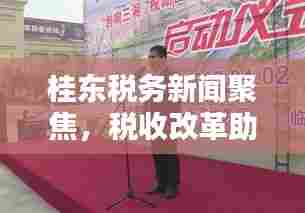 桂东税务新闻聚焦,税收改革助力地方经济腾飞