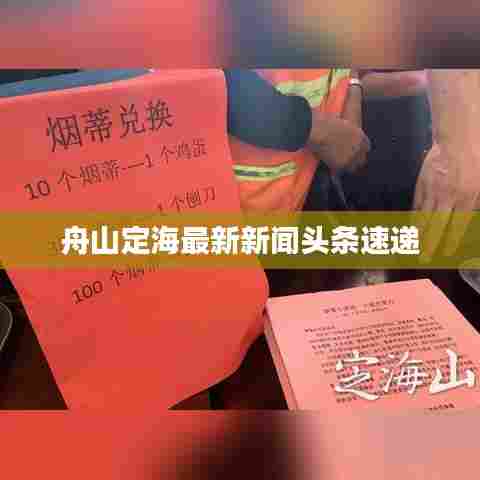 舟山定海最新新闻头条速递