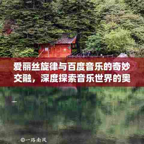 爱丽丝旋律与百度音乐的奇妙交融,深度探索音乐世界的奥秘