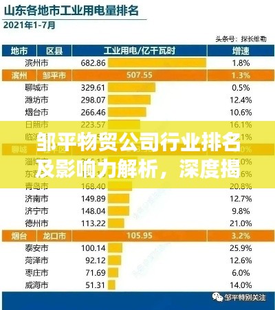 邹平物贸公司行业排名及影响力解析，深度揭秘其市场地位