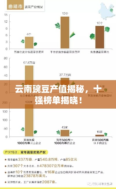 云南豌豆产值揭秘,十强榜单揭晓!