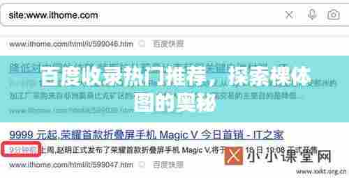 百度收录热门推荐,探索棵体图的奥秘