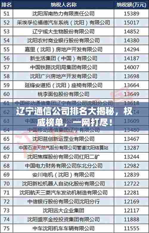 辽宁通信公司排名大揭秘,权威榜单,一网打尽!
