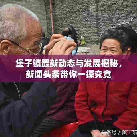 堡子镇最新动态与发展揭秘,新闻头条带你一探究竟