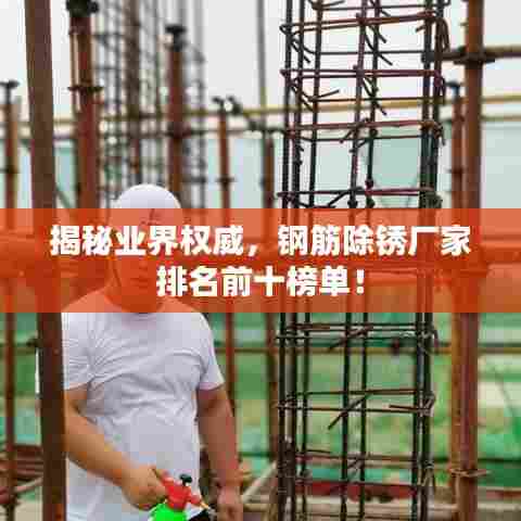 揭秘业界权威，钢筋除锈厂家排名前十榜单！
