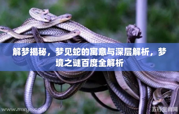 打马虎眼 第2页