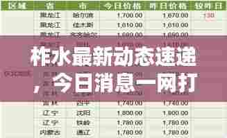 柞水最新动态速递,今日消息一网打尽