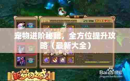 宠物进阶秘籍，全方位提升攻略（最新大全）