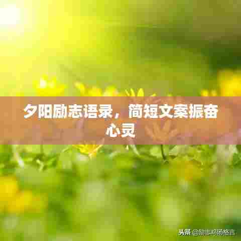 夕阳励志语录,简短文案振奋心灵