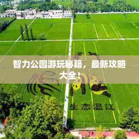 智力公园游玩秘籍,最新攻略大全!