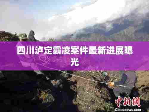 四川泸定霸凌案件最新进展曝光