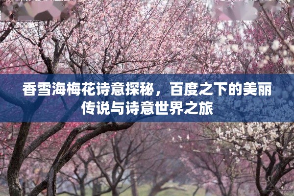香雪海梅花诗意探秘，百度之下的美丽传说与诗意世界之旅