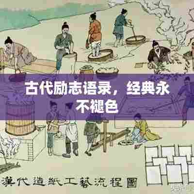 钗荆裙布 第2页