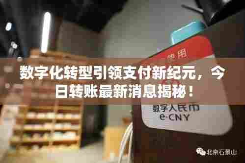 数字化转型引领支付新纪元,今日转账最新消息揭秘!