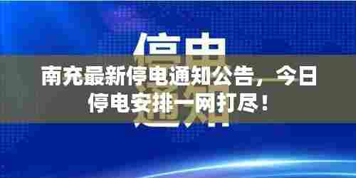 惊弓之鸟 第3页