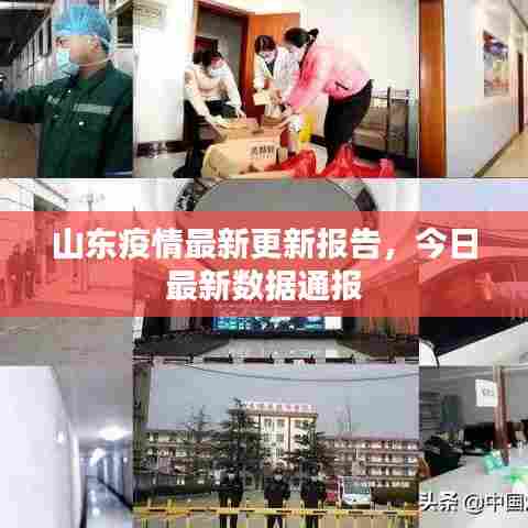 山东疫情最新更新报告，今日最新数据通报