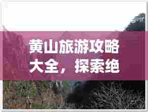 黄山旅游攻略大全,探索绝美风光,畅游自然仙境!