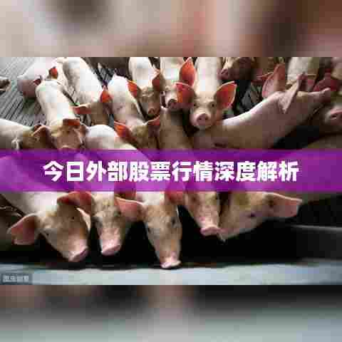今日外部股票行情深度解析