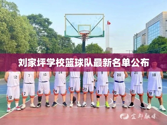 刘家坪学校篮球队最新名单公布
