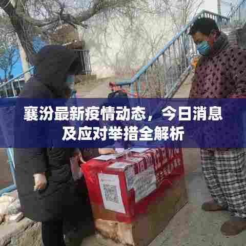 襄汾最新疫情动态，今日消息及应对举措全解析