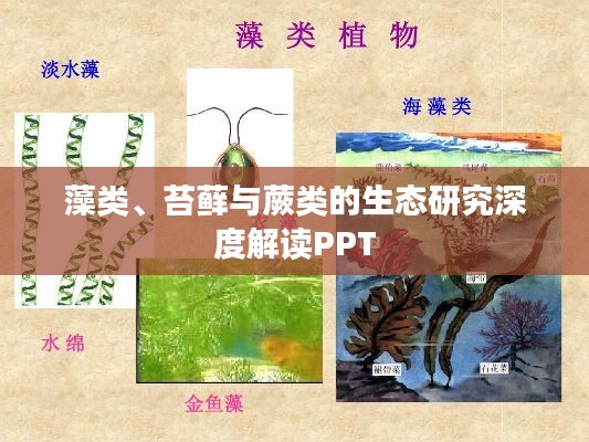 藻类、苔藓与蕨类的生态研究深度解读PPT