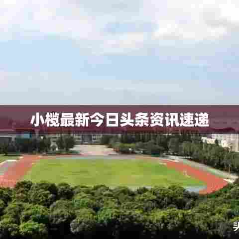 小榄最新今日头条资讯速递
