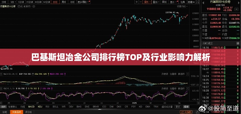 巴基斯坦冶金公司排行榜TOP及行业影响力解析