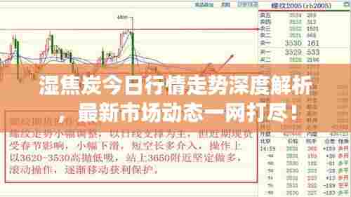 湿焦炭今日行情走势深度解析,最新市场动态一网打尽!